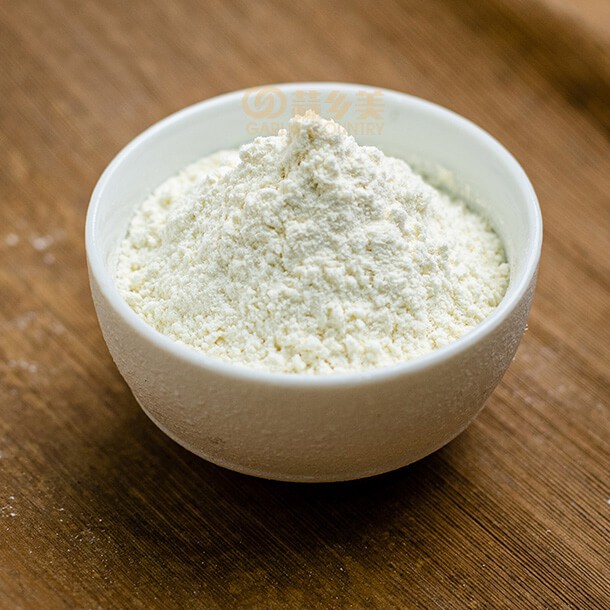 Garlic Powder 100-120 Mesh