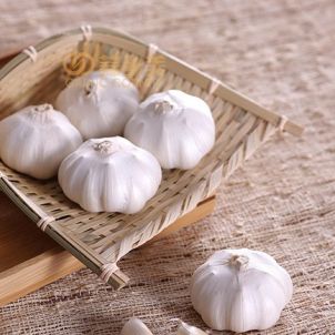 Fresh Garlic