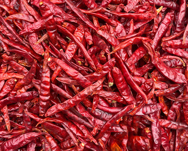 Red Chillies